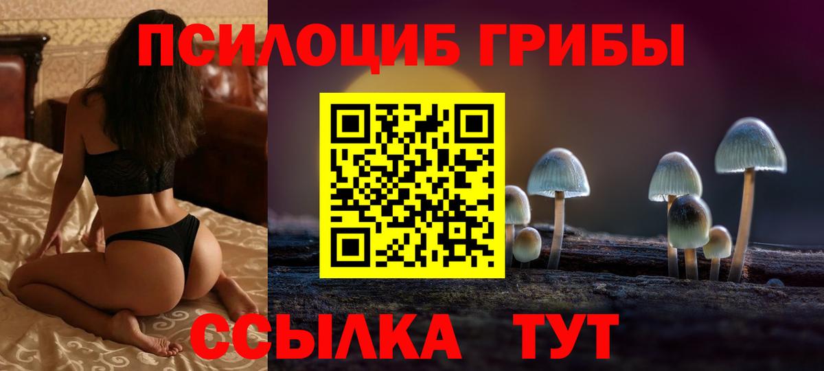 Галлюциногенные грибы Psilocybe  Вход с VPN  Кисловодск  Псилоцибиновые грибы ЛСД 
